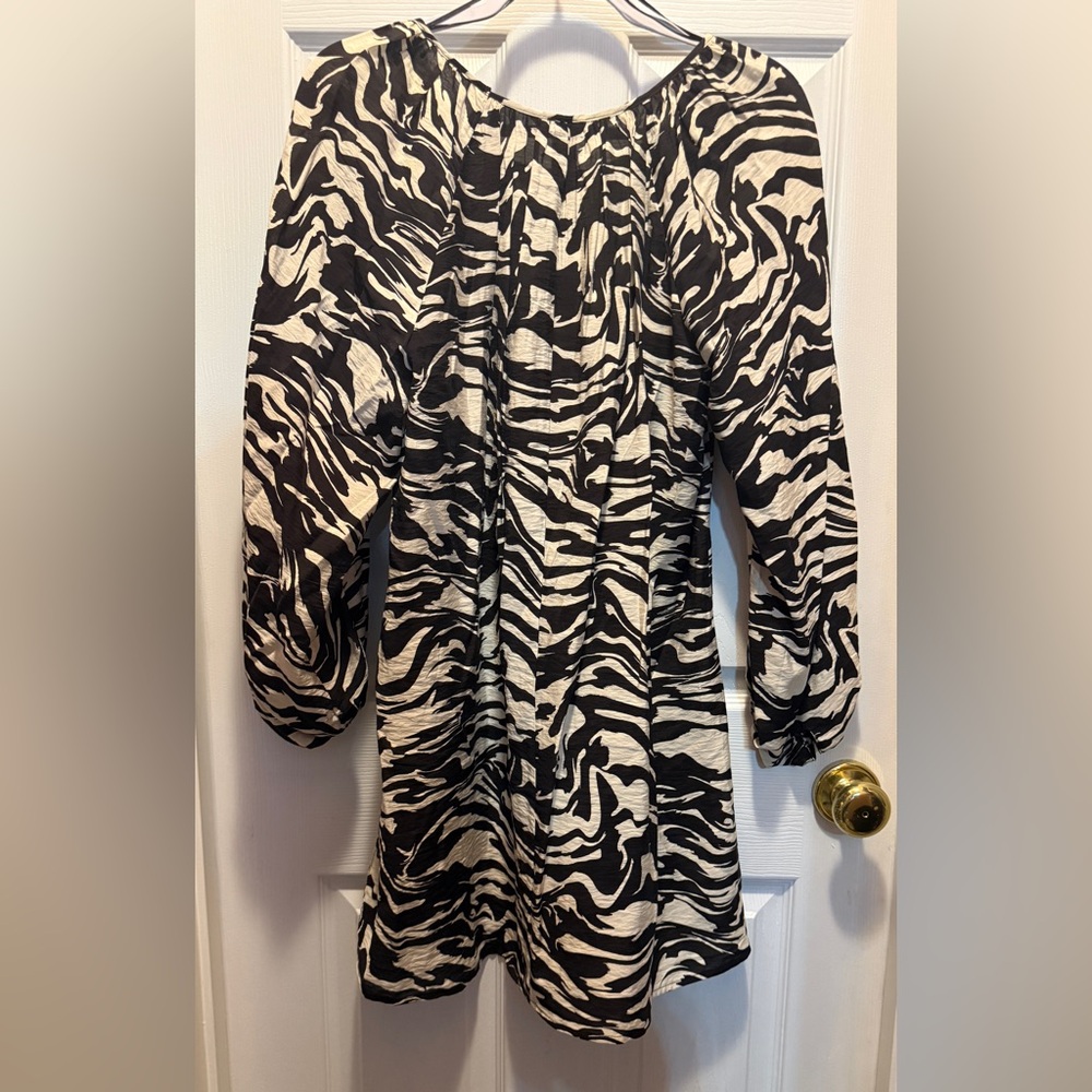 H&M Black and White Zebra Print Dress